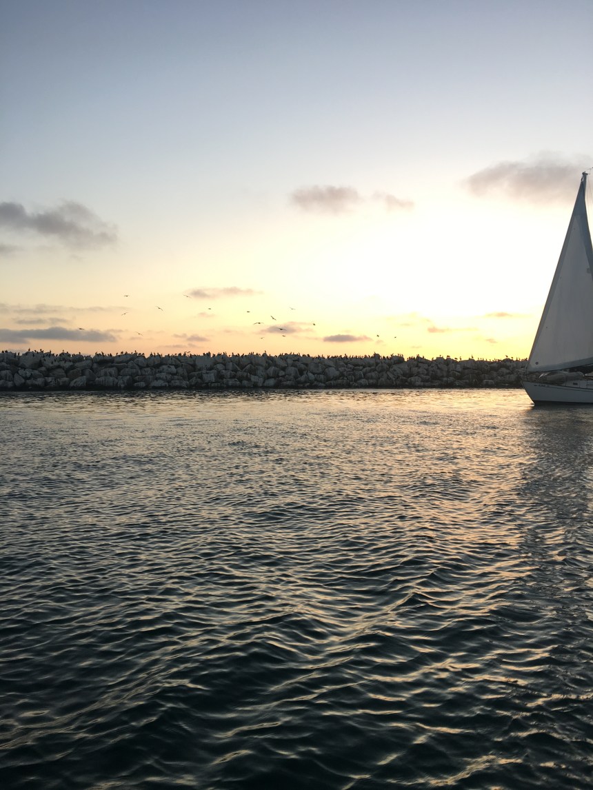 The Journey into the Big Blue